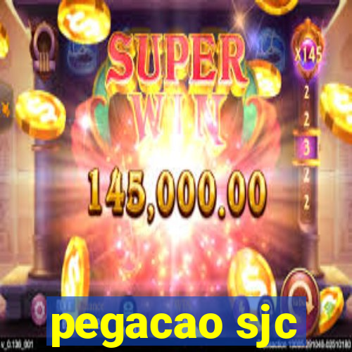 pegacao sjc